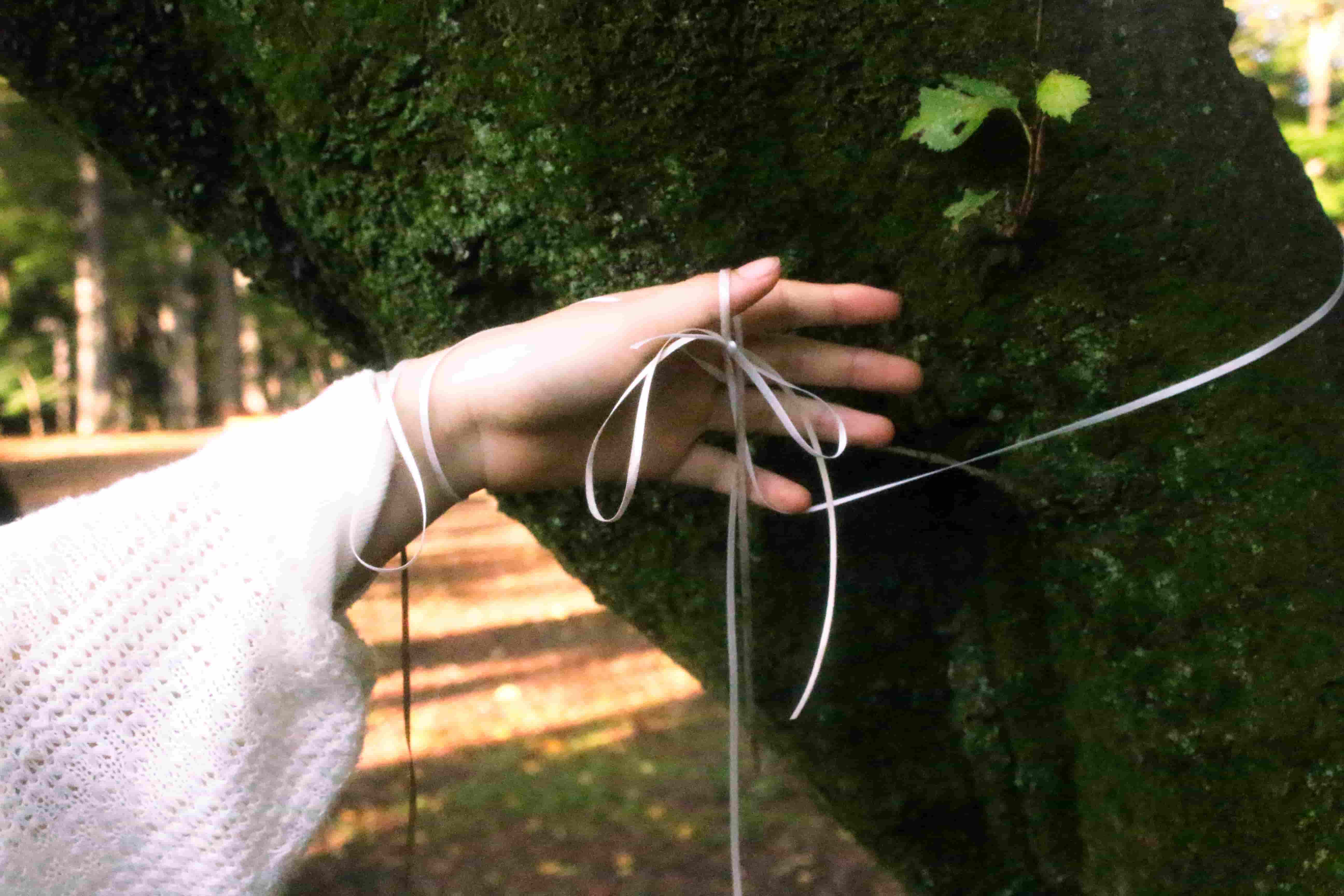 LIGHT KNOWS THE TRUTH07