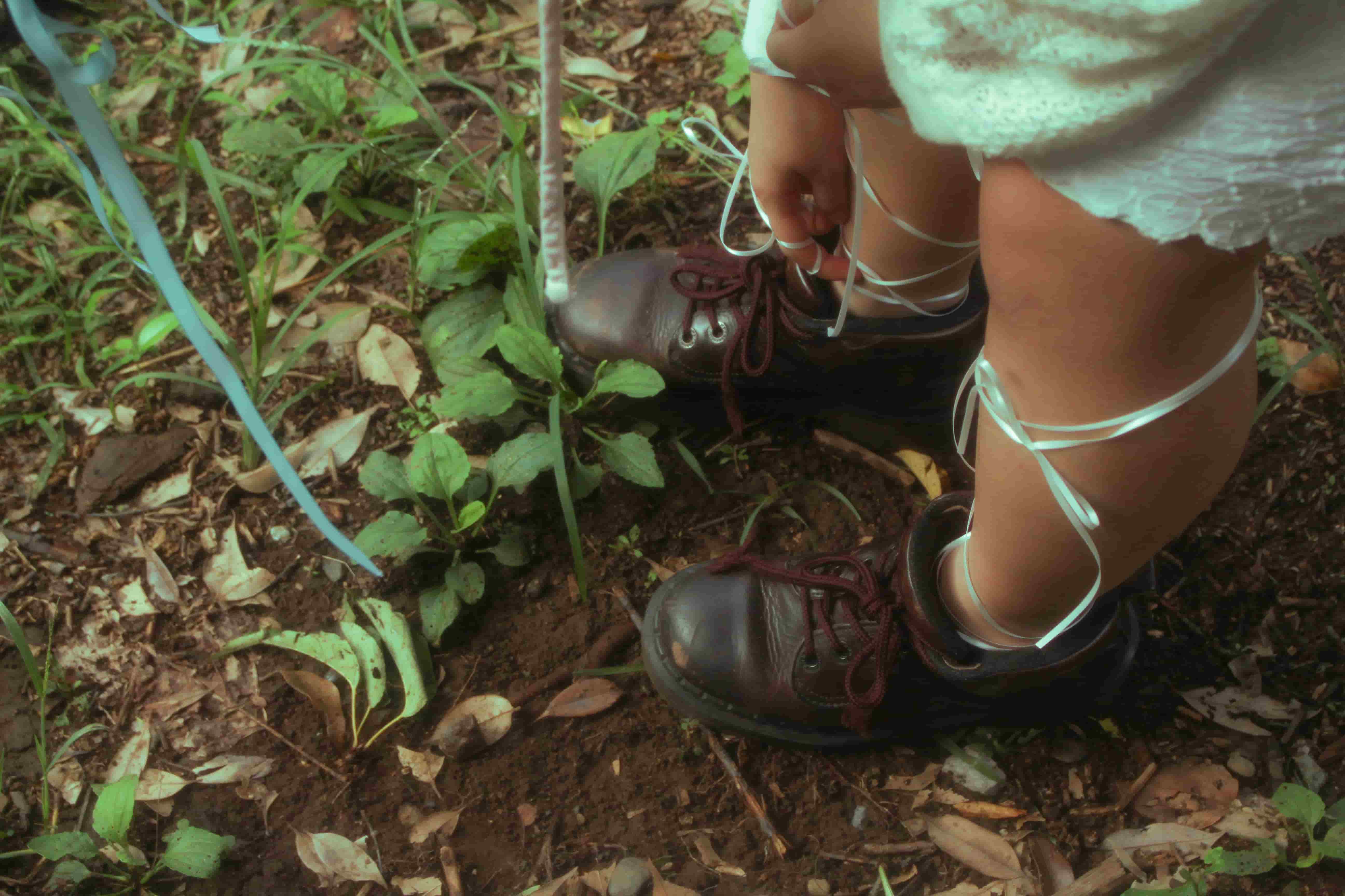 LIGHT KNOWS THE TRUTH01